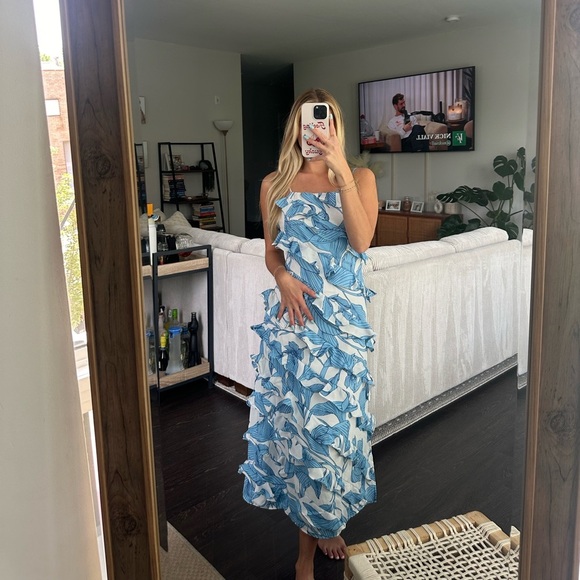 Anthropologie Walter Baker Sleeveless Ruffled Midi Dress - Picture 5 of 5